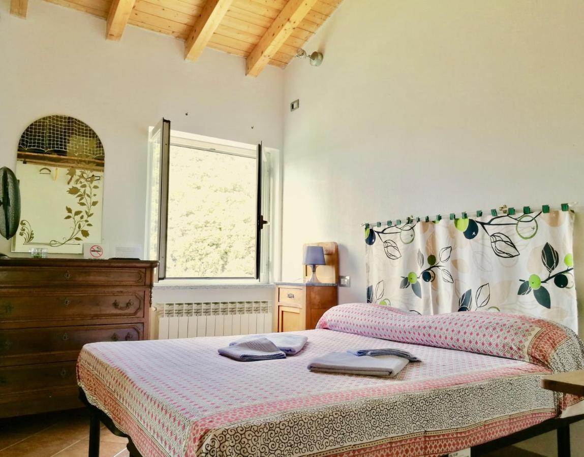 B&B Quincas Berro D'Agua Реко Екстериор снимка